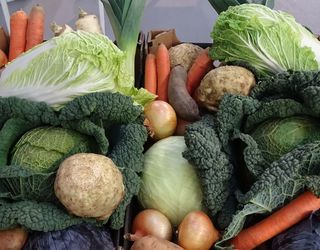 В Україні на 2% скоротилися площі під овочами борщового набору